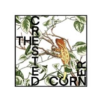 The CC Bundle